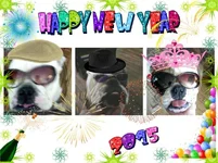 pizap.com14205598907171.webp