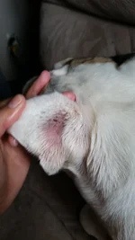 20150421_131723.webp