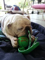 2015-01-23 13.02.12.webp