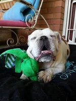 2015-01-23 13.07.15.webp