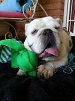 2015-01-23 13.07.22.webp