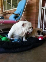 2015-01-23 13.11.50.webp