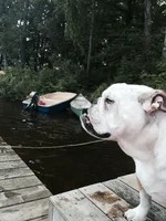 FullSizeRender.webp