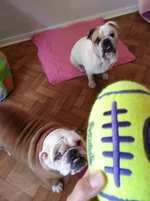2015-01-23 13.16.14.webp