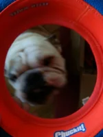 2015-01-23 13.16.51.webp