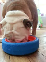 2015-01-23 13.17.04.webp