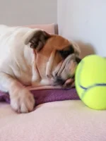 2015-01-23 13.17.22.webp