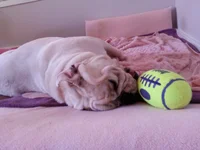 2015-01-23 13.17.48.webp