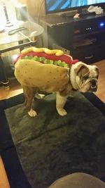 20151031_204949.jpeg_4.webp