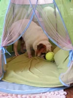 2015-01-23 13.19.27.webp
