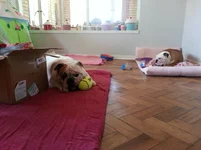2015-01-23 13.20.59.webp
