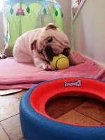 2015-01-23 13.30.09.webp