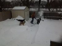 20150127_125141.webp