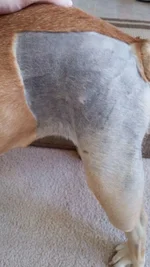 mag_zpsaw3gjodf.webp