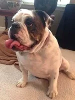 margy.webp