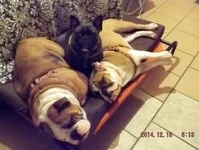 DSCF5283.webp