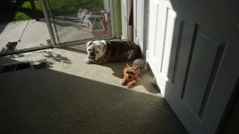 DSCN0863.webp