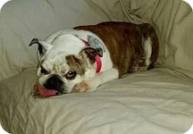 Rosie mae.webp