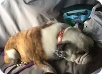 Rosie mae1.webp