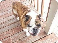 buster1.jpg buster1.jpg