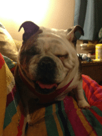 sadie jane1.png sadie jane1.png