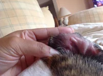 image.webp