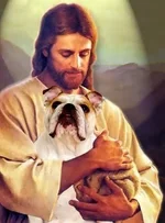 image.webp