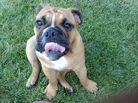 downsized_1105111227.webp