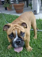 downsized_0916111426.webp