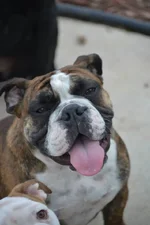basil one year.webp
