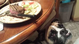20150205_182534.webp