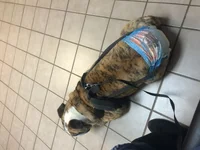 IMG_1053[1].webp