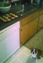 IMG_20150207_095720.jpg IMG_20150207_095720.jpg