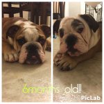 image.jpeg image.jpeg