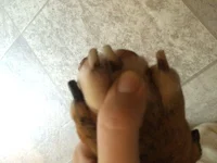 image.webp
