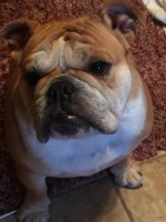 12032490_10206174498740467_2034020412_n.jpg 12032490_10206174498740467_2034020412_n.jpg