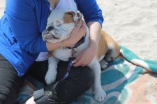 IMG_3347.JPG IMG_3347.JPG
