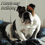 i_love_my_bulldog_1.jpg