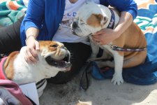 IMG_3351.JPG IMG_3351.JPG