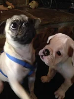 imagejpeg_2_18.webp imagejpeg_2_18.webp