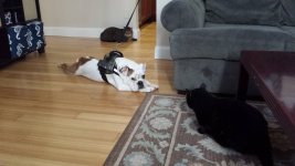 20150215_104437.jpg 20150215_104437.jpg