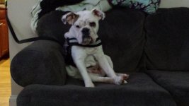 20150215_100451.jpg 20150215_100451.jpg