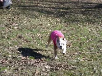 FB_IMG_1424067978381.webp