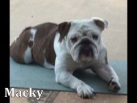 1421890409_macky.jpg 1421890409_macky.jpg