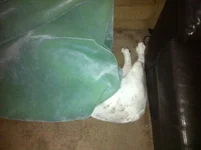 photo 3.webp