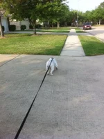 photo 4.webp