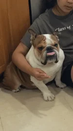 Harvey 40.webp