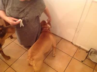 image.webp