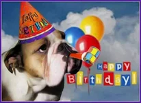 Happy b day 1.webp
