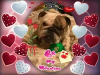 pizap.com14205705471141.webp